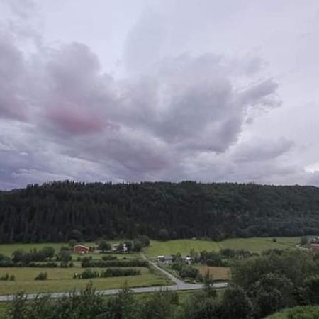 LeirfjordSkogan公寓 外观 照片