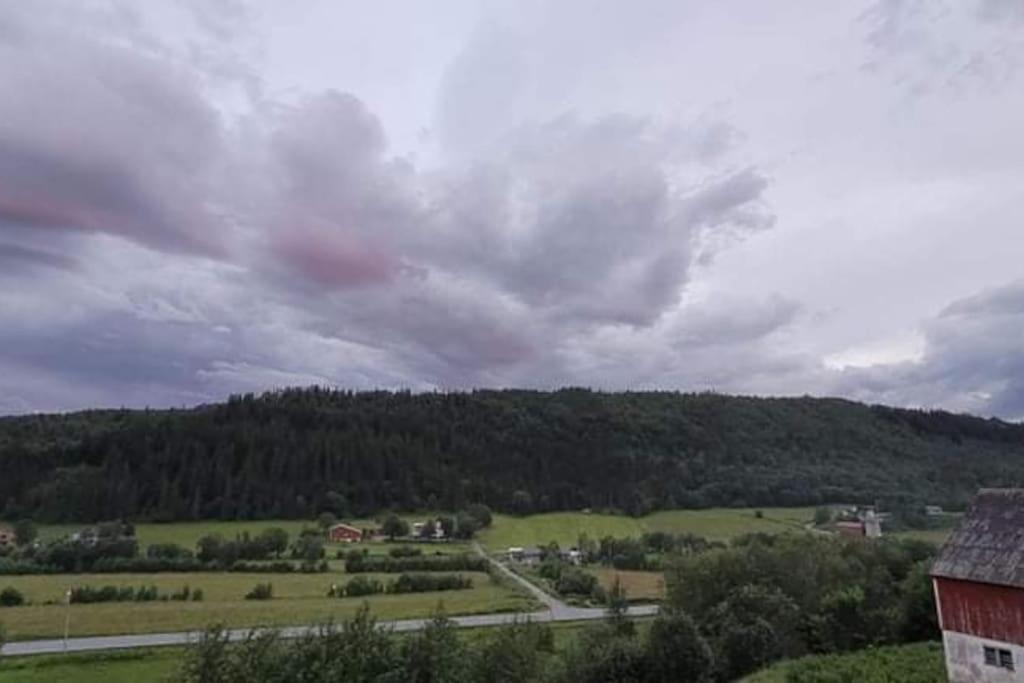 LeirfjordSkogan公寓 外观 照片