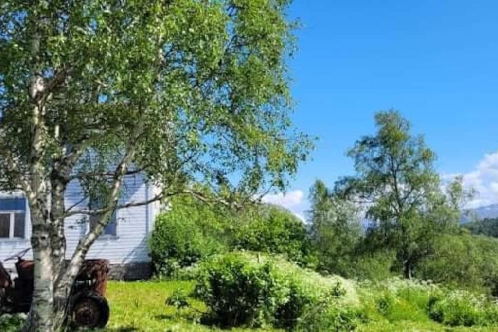 LeirfjordSkogan公寓 外观 照片
