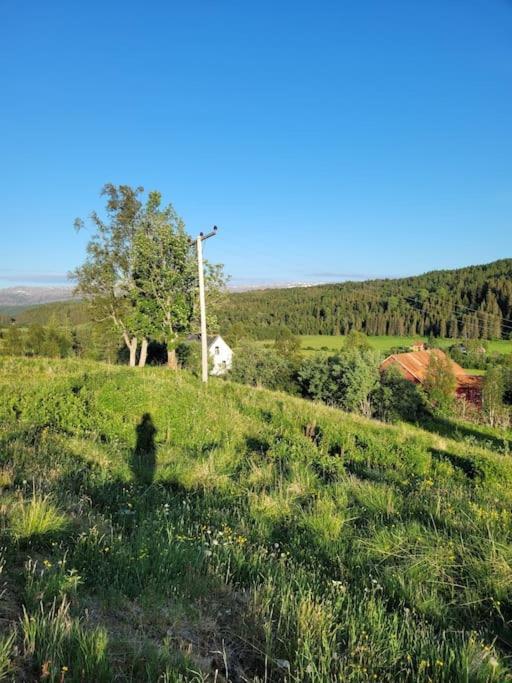 LeirfjordSkogan公寓 外观 照片