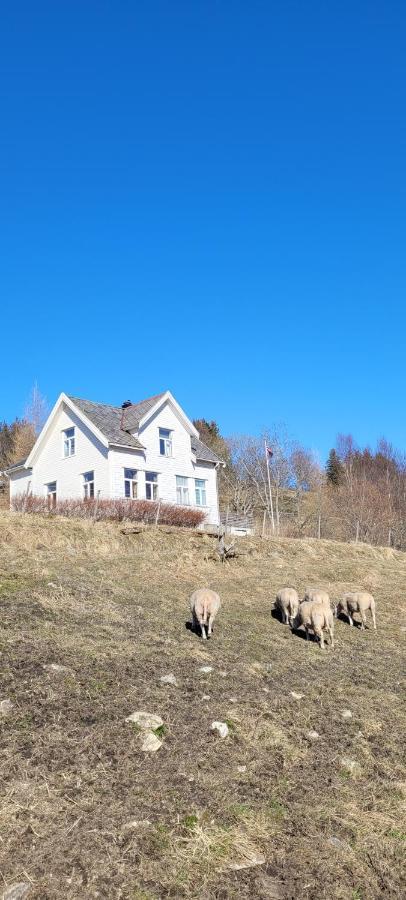 LeirfjordSkogan公寓 外观 照片